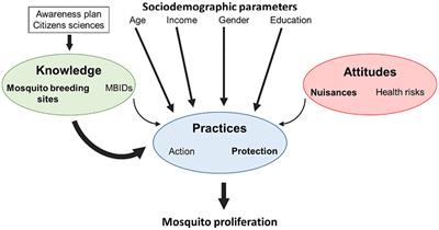 A review of knowledge, attitudes and practices regarding mosquitoes and mosquito-borne infectious diseases in nonendemic regions